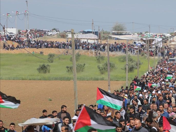 مدونات - العودة